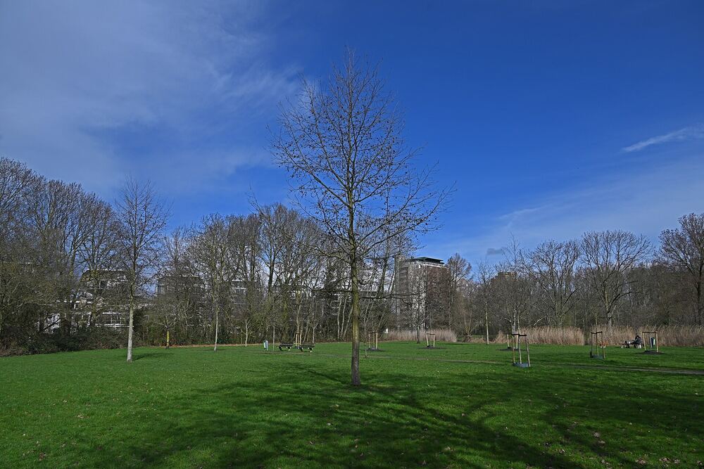 Het Hof van Delftpark in Delft op een zonnige dag