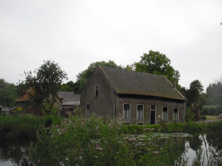 Wandeling in Delftse Hout — Natuur in Delft
