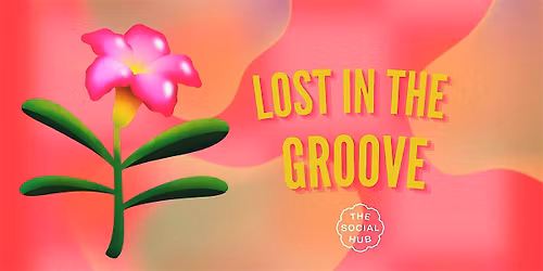 Lost In The Groove! — Uitgaan in Delft