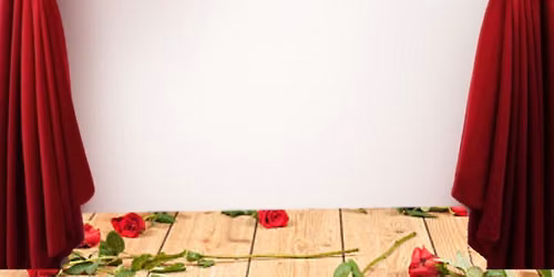 The Rose Show Comedy Competition — lezing in Delft