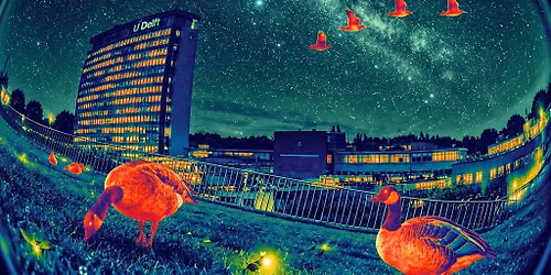 Twilight Safari — Natuur in Delft